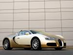 Bugatti Veyron 16.4 Gold Edition 2009 года